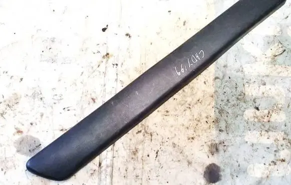 Rear door trim (molding)