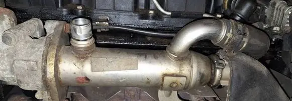 EGR valve cooler