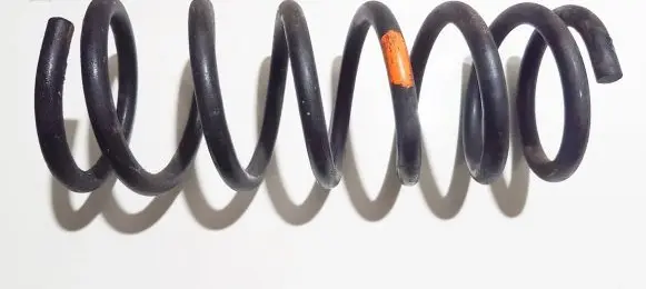 Rear coil spring