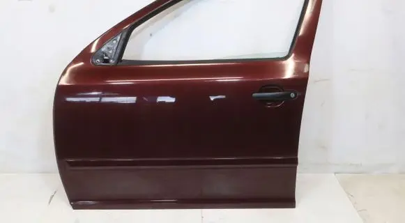 Skoda Octavia Mk2 (1Z) Front door 