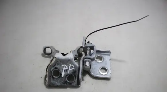 Dacia Logan II Front door hinge set 