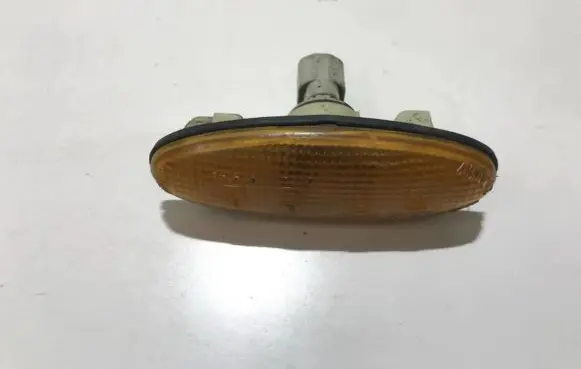 Front fender indicator light