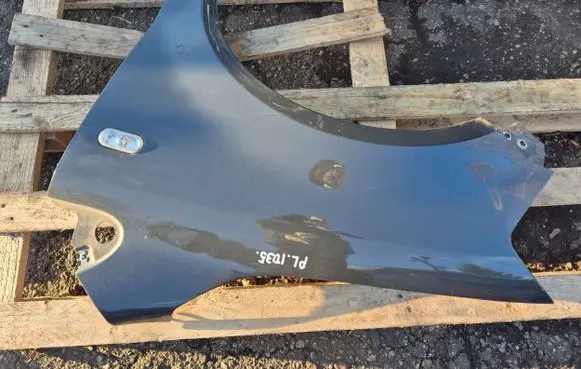 Volkswagen Fox Fender
