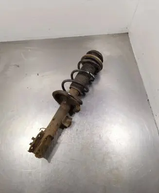 Suzuki SX4 Front shock absorber with coil spring