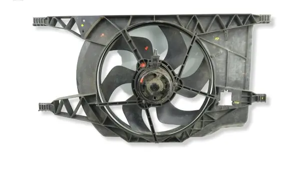 Renault Espace - Grand espace IV Electric radiator cooling fan 1831068000