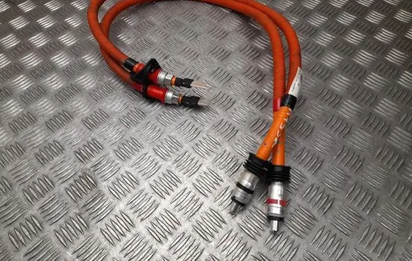 Tesla Model S Other wiring loom 105586810D