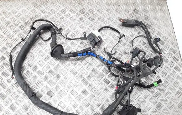Hyundai Grandeur Tailgate/trunk wiring harness 919003L010