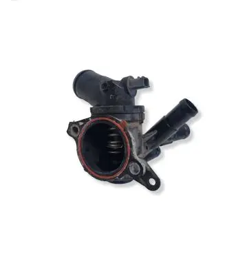 Nissan Qashqai Thermostat 110617089R
