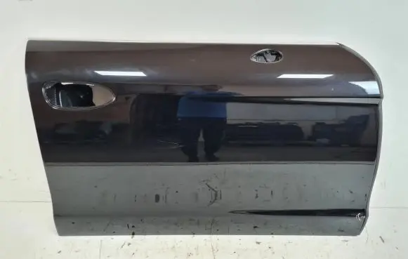 Porsche Panamera (970) Front door