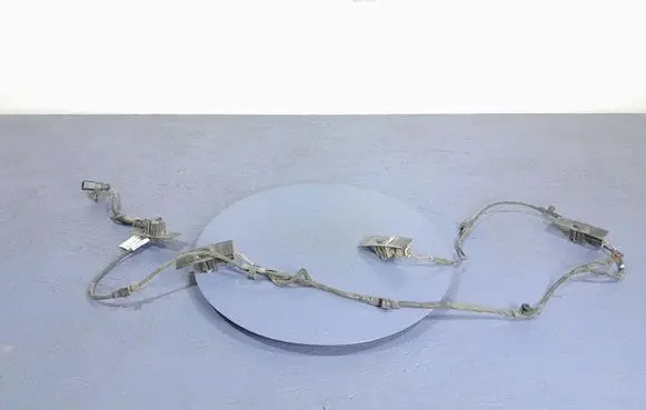 Other wiring loom