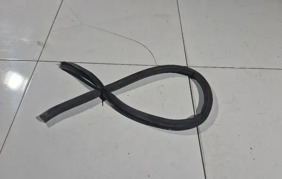 Renault Laguna II Rubber seal rear door 