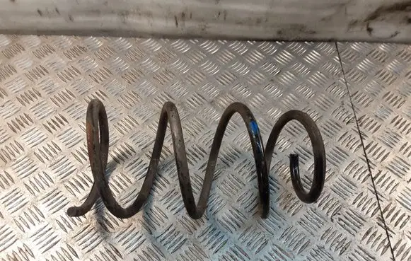Nissan X-Trail T30 Rear coil spring