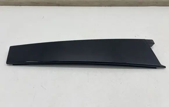 Mini Clubman F54 Rear door glass trim molding 7344193