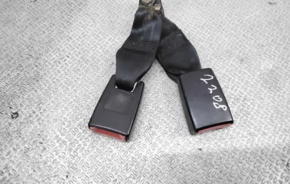 Middle seatbelt buckle (rear)