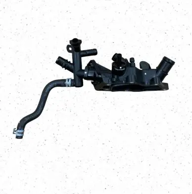 Thermostat/thermostat housing