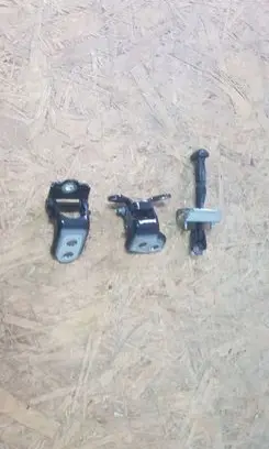 Renault Talisman Rear door hinge set 66380talisman