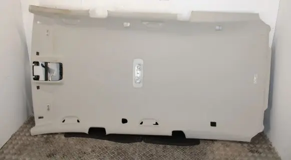 Volkswagen PASSAT B7 Headlining 3AF867501G