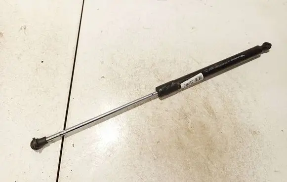 Tailgate/trunk strut/damper
