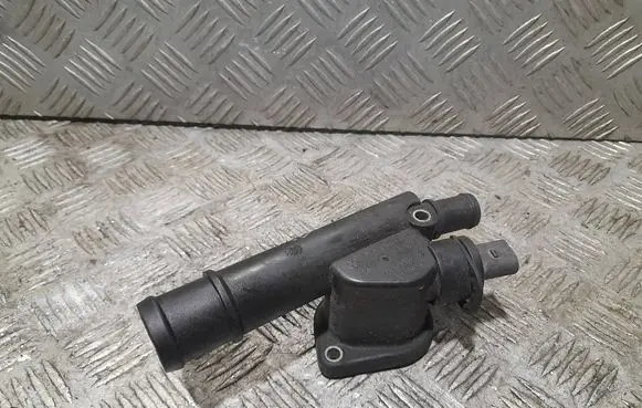 Thermostat/thermostat housing