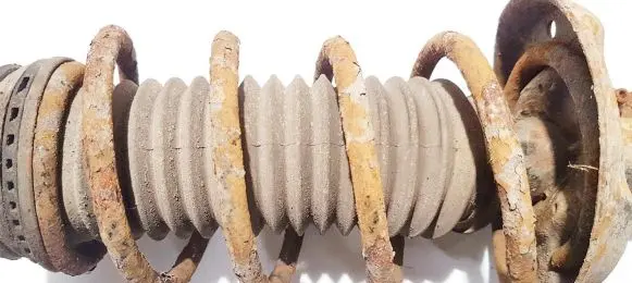 Fiat Punto (188) Front coil spring