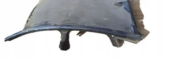 Audi e-tron Roof 
