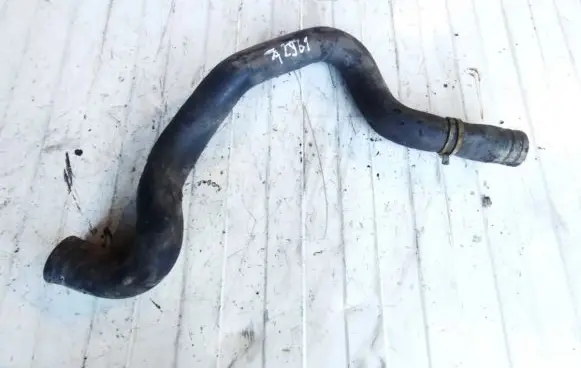Renault Laguna I Engine coolant pipe/hose