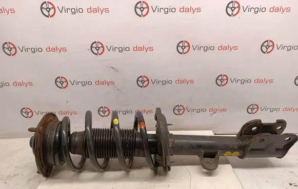 KIA Sorento Front shock absorber with coil spring 546602p650