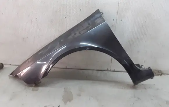 Renault Laguna II Fender