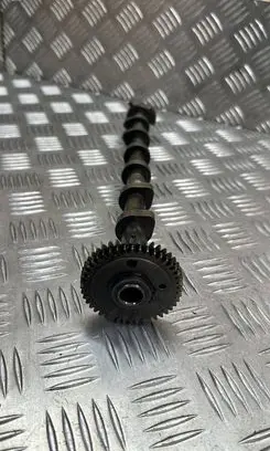 Audi A8 S8 D5 Camshaft 059109023BM
