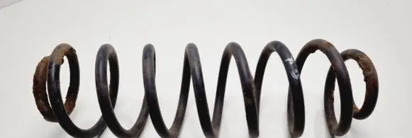 Ford Ecosport Rear coil spring