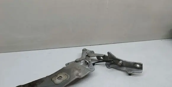 BMW X5 E70 Engine bonnet/hood hinges 7208628