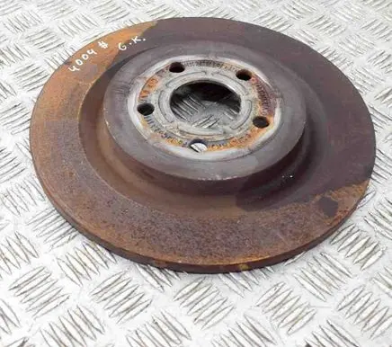 Ford Mustang Mach-E Rear brake disc LJ9C2A315CNB
