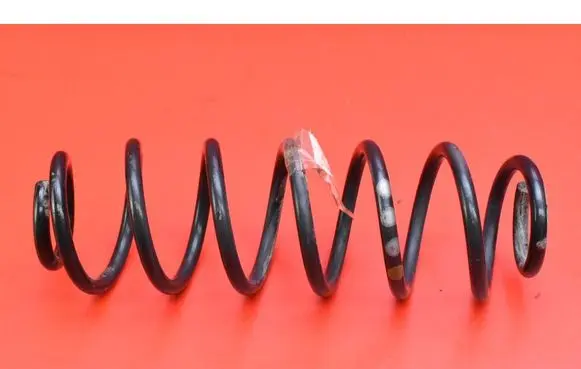 Rear coil spring