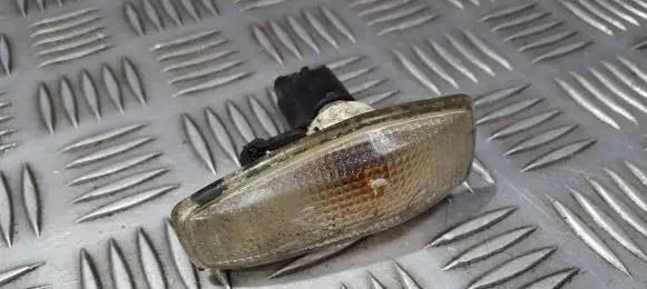 Front fender indicator light