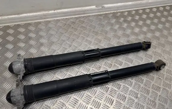 Volkswagen T-Roc Rear shock absorber/damper 5WA512013AJ