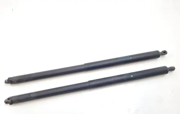 Opel Insignia A Tailgate/trunk strut/damper 13247949