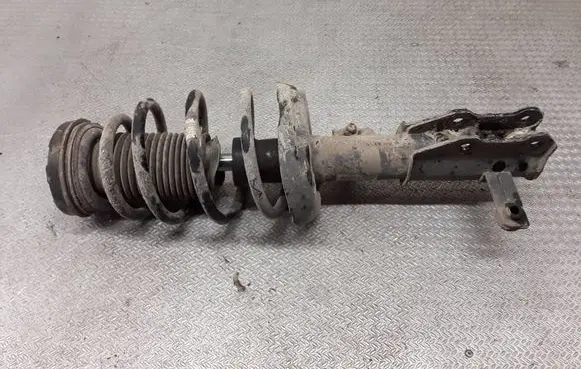 Opel Insignia A Front shock absorber with coil spring