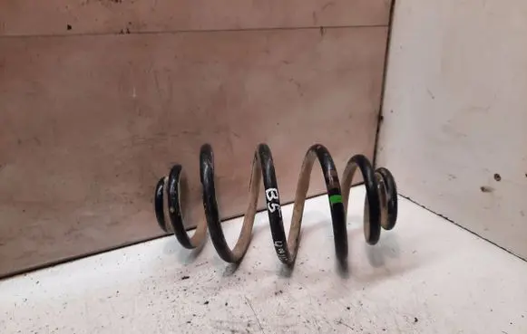 Volkswagen PASSAT B5 Rear coil spring