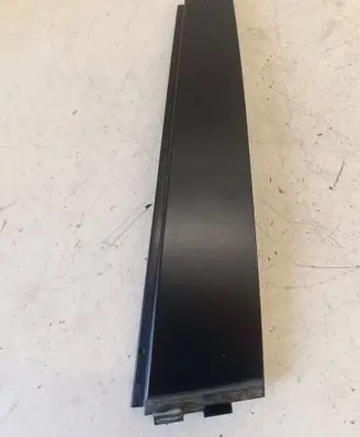 Volkswagen PASSAT B6 Rear door glass trim molding 3C0839901