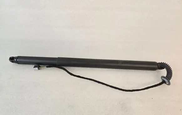 Tailgate/trunk strut/damper