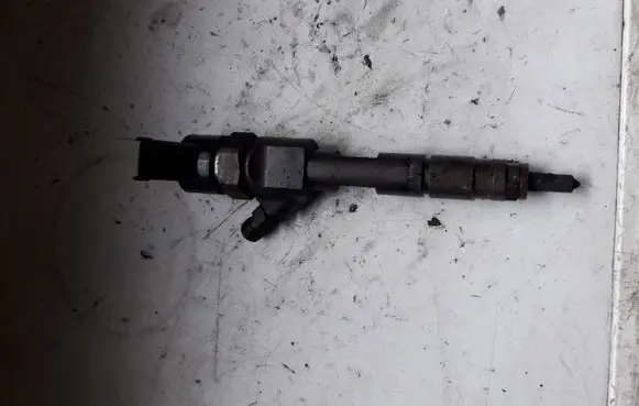 Renault Scenic II - Grand scenic II Fuel injector 0445110110B