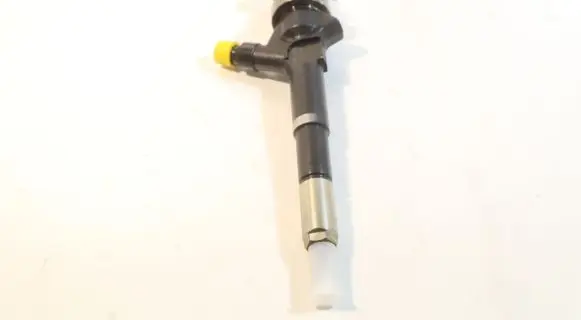 Chevrolet Cruze Fuel injector 55567729