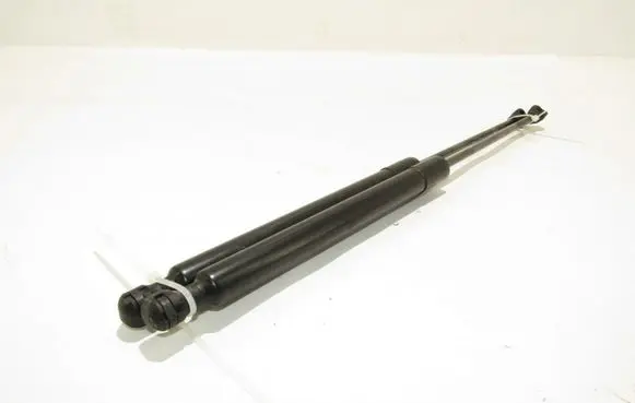 Renault Captur Tailgate/trunk strut/damper 844301324r
