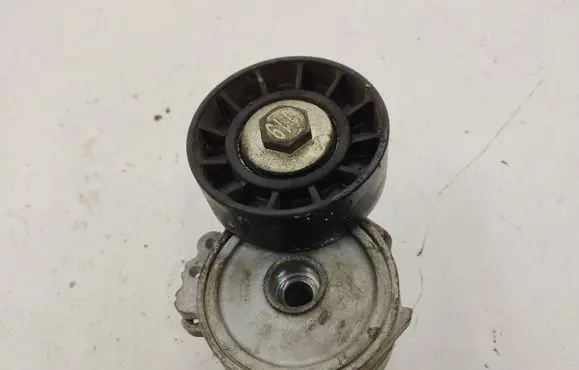 Mercedes-Benz S W220 Alternator belt tensioner 