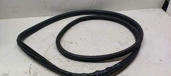 BMW 3 F30 F35 F31 Front door rubber seal 7258312