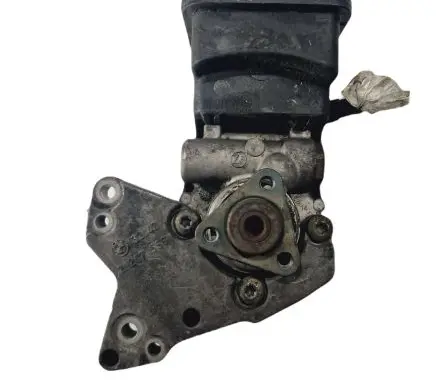 BMW 5 E39 Power steering pump 7691974518