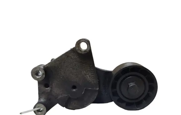 Volvo V40 Timing belt tensioner 846143