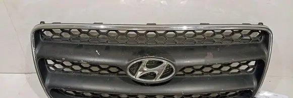 Hyundai Santa Fe Front bumper upper radiator grill E865612B000
