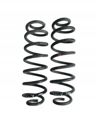 Toyota RAV 4 (XA50) Rear coil spring