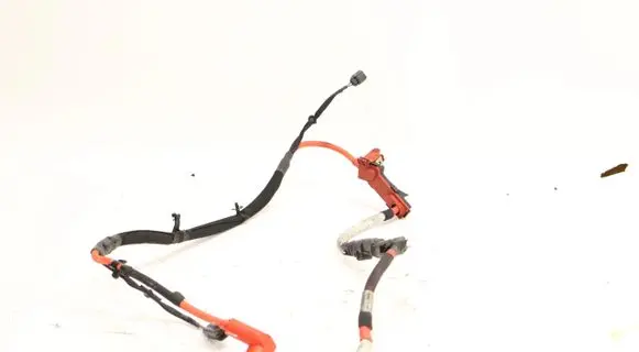 Other wiring loom